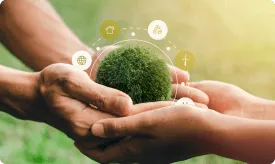  Sustainable & Environment-friendly Processes
