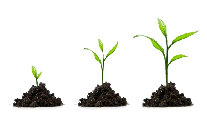 Factors that will Strengthen India's SMEs