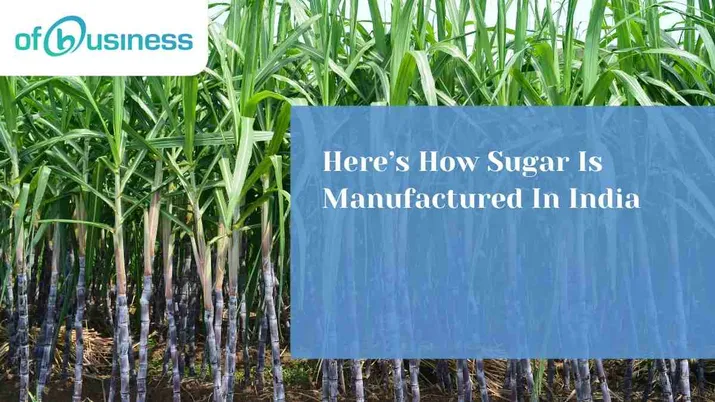 Here’s How Sugar Is Manufactured In India