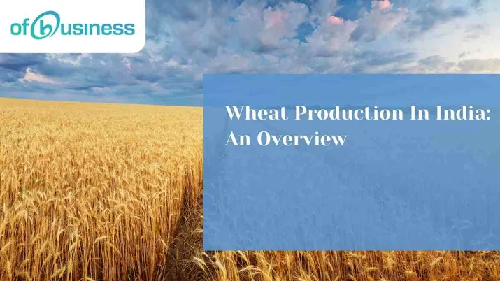 Wheat Production In India: An Overview