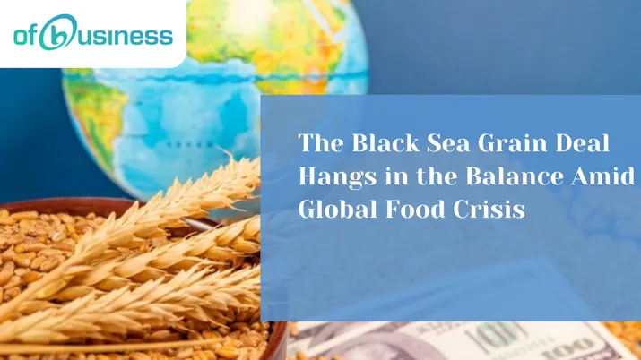 The Black Sea Grain Deal Hangs in the Balance Amid Global Food Crisis