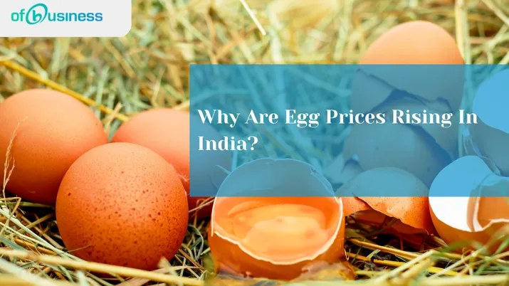 Why Are Egg Prices Rising In India?
