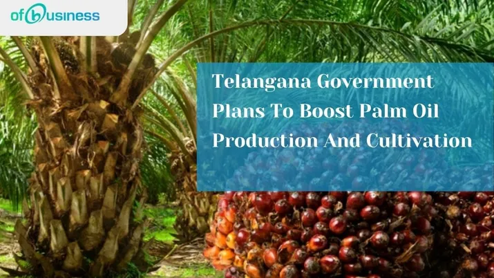 Telangana Government Plans To Boost Palm Oil Production And Cultivation