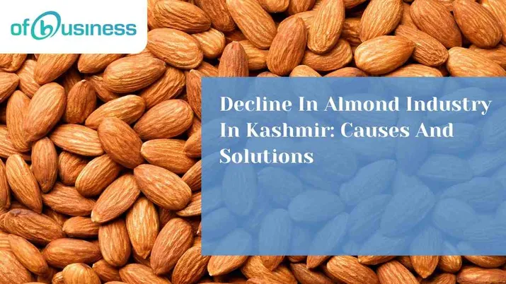Decline In Almond Industry In Kashmir: Causes And Solutions