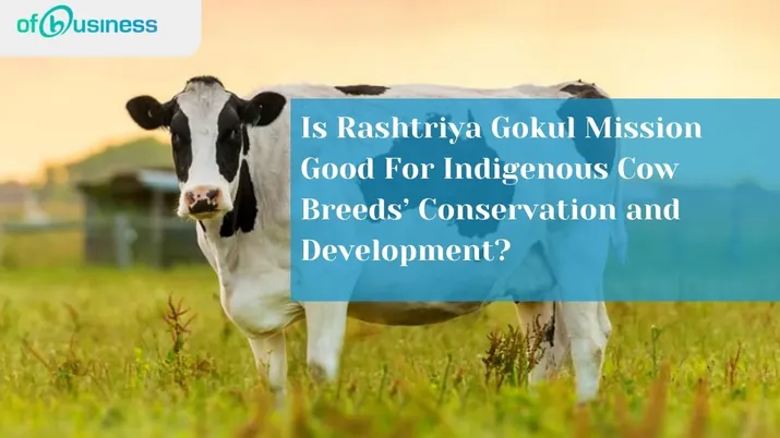 Is Rashtriya Gokul Mission Good For Indigenous Cow Breeds’ Conservation and Development?