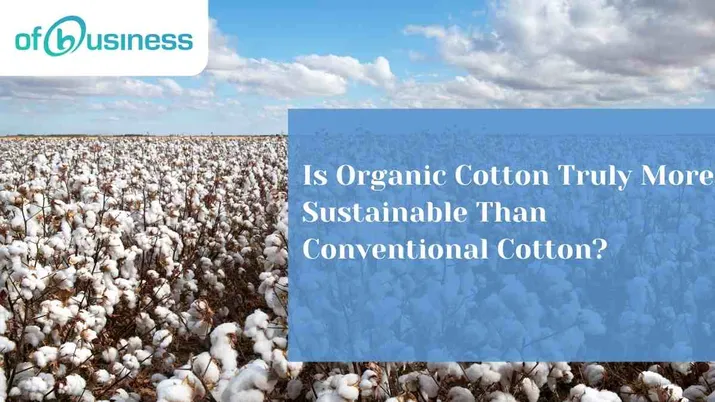 Is Organic Cotton Truly More Sustainable Than Conventional Cotton?