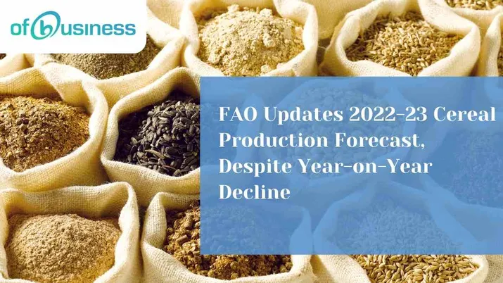 FAO Updates 2022-23 Cereal Production Forecast, Despite Year-on-Year Decline