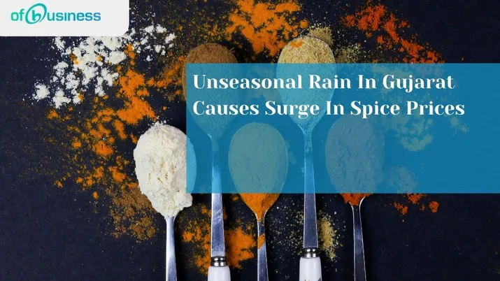 Unseasonal Rain In Gujarat Causes Surge In Spice Prices
