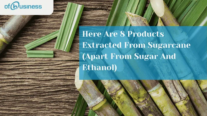 8 Products Extracted From Sugarcane (Apart From Sugar And Ethanol)