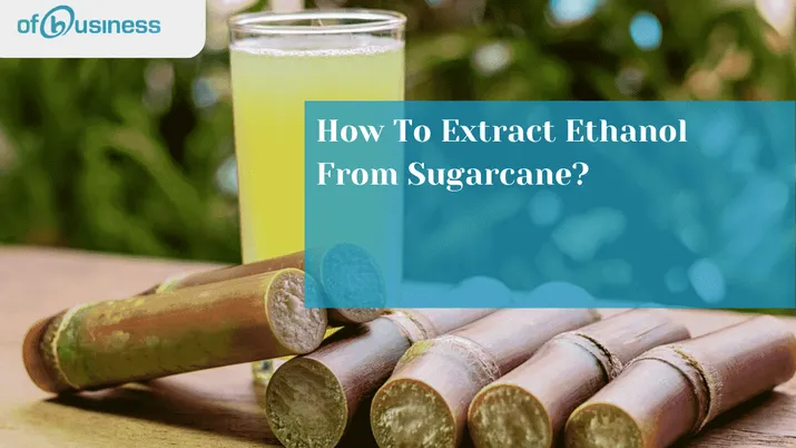 How To Extract Ethanol From Sugarcane?