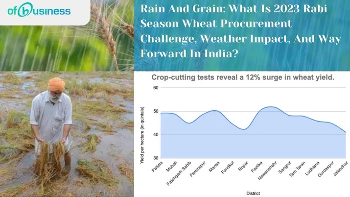 Rain And Grain: What Are Rabi Season 2023 Wheat Procurement Challenges, Optimism, And Way Forward In India?