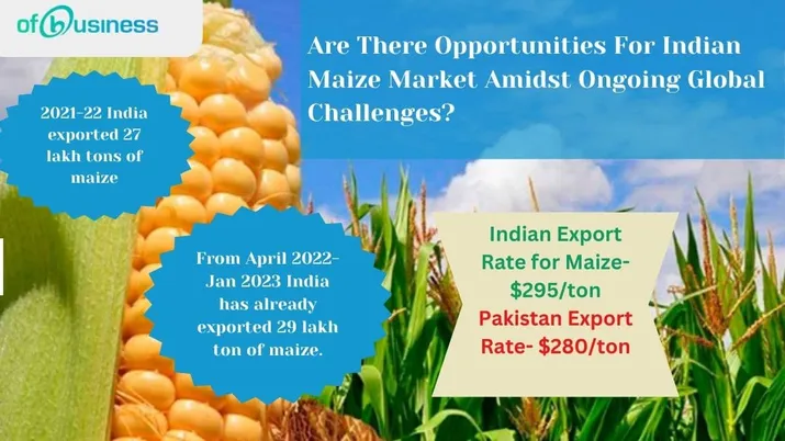 Are There Opportunities For Indian Maize Market Amidst Ongoing Global Challenges?