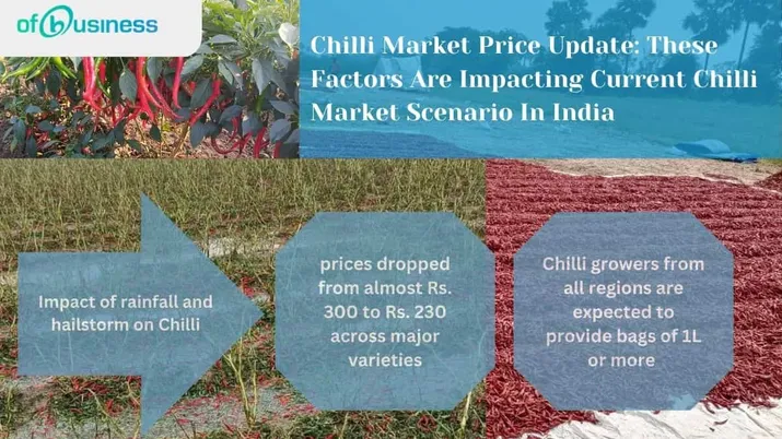 Chilli Market Price Update: These Factors Are Impacting Current Chilli Market Scenario In India