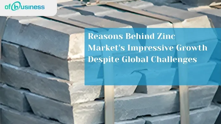 Reasons Behind Zinc Market's Impressive Growth Despite Global Challenges