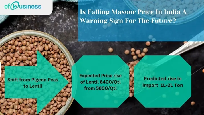 Is Falling Masoor Price In India A Warning Sign For The Future?