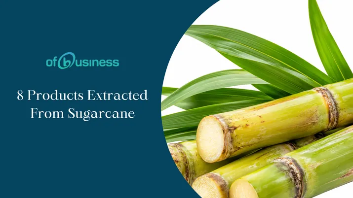 8 Products Extracted From Sugarcane (Apart From Sugar And Ethanol)