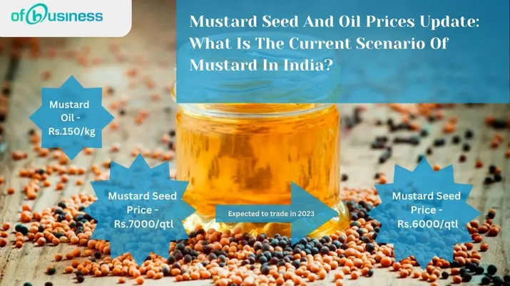 Mustard Seed And Oil Prices Update: What Is The Current Scenario Of Mustard In India?
