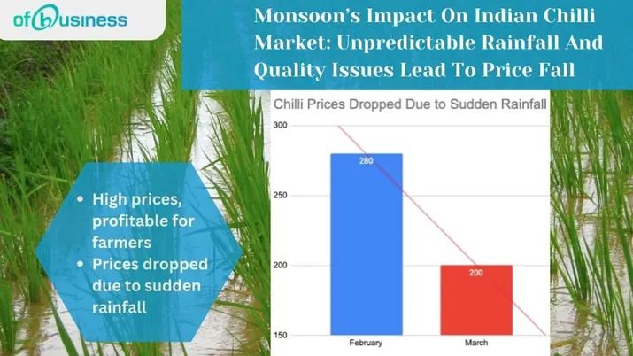 Monsoon’s Impact On Indian Chilli Market: Unpredictable Rainfall And Quality Issues Lead To Price Fall