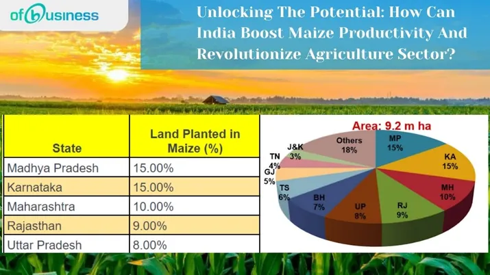 Unlocking The Potential: How Can India Boost Maize Productivity And Revolutionize Agriculture Sector?