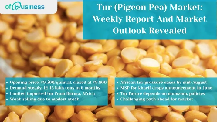 Tur (Pigeon Pea) Market: Weekly Report And Market Outlook Revealed