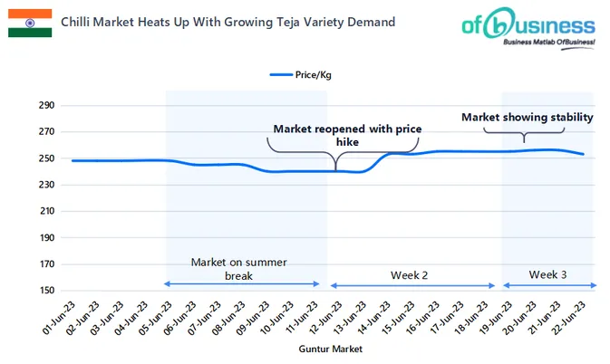 Chilli Market Heats Up With Growing Teja Variety Demand