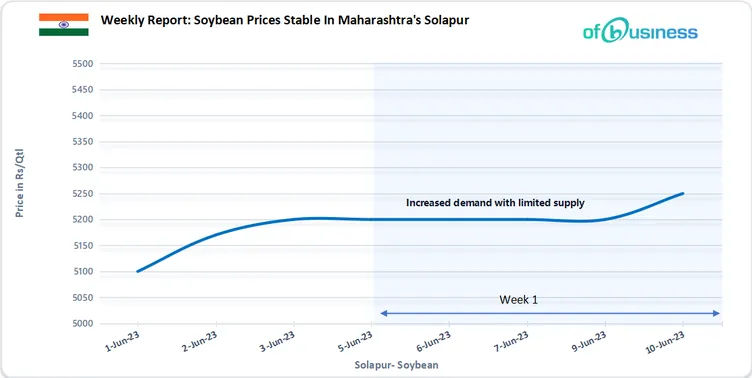 Weekly Report: Soybean Prices Stable In Maharashtra's Solapur