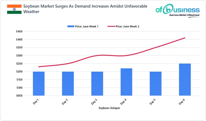 Soybean Market Surges As Demand Increases Amidst Unfavorable Weather