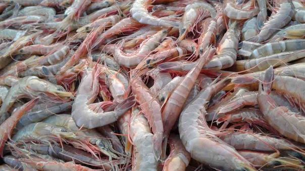 The US Shrimp Market: Who Is Winning?