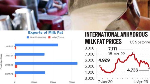 The Skinny on Milk Prices: How Missing Fat Content is Impacting Your Wallet?