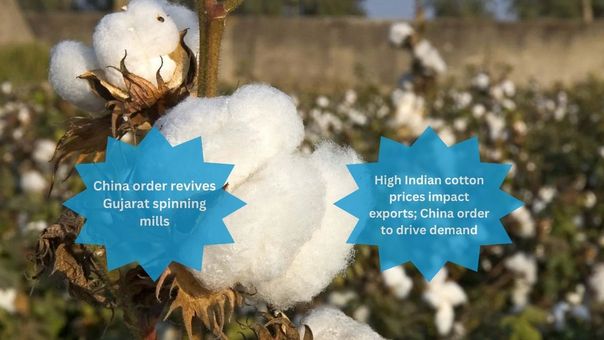 Will China's Massive Cotton Yarn Order Revive India's Textile Industry?