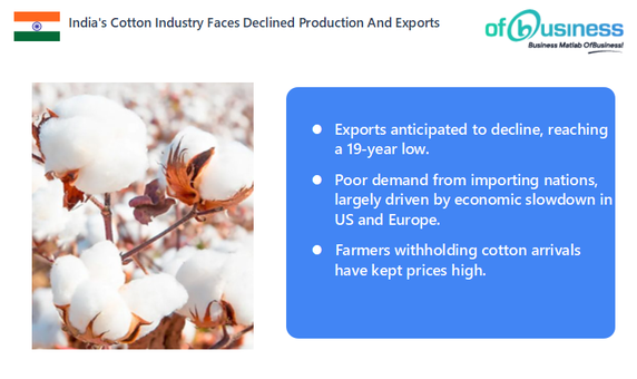 India's Cotton Industry Faces Declined Production And Exports