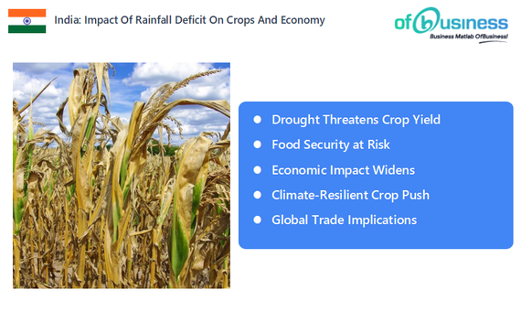 India: Impact Of Rainfall Deficit On Crops And Economy