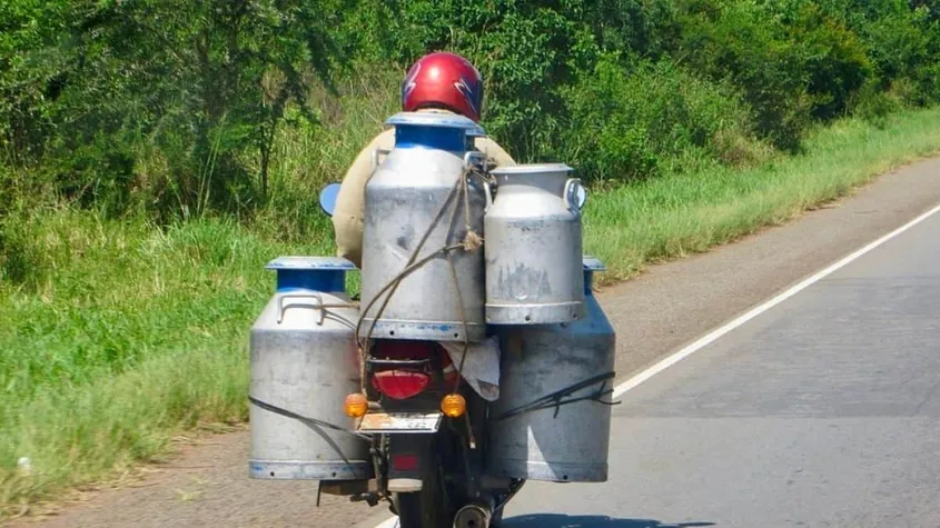Here’s How The Rising Milk Prices In India Can Be Controlled