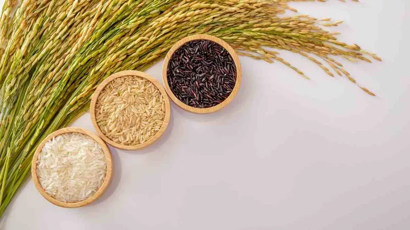 Exploring The Nutritional Profiles Of Different Rice Varieties Found In India