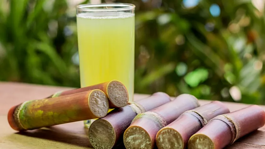 How To Extract Ethanol From Sugarcane?