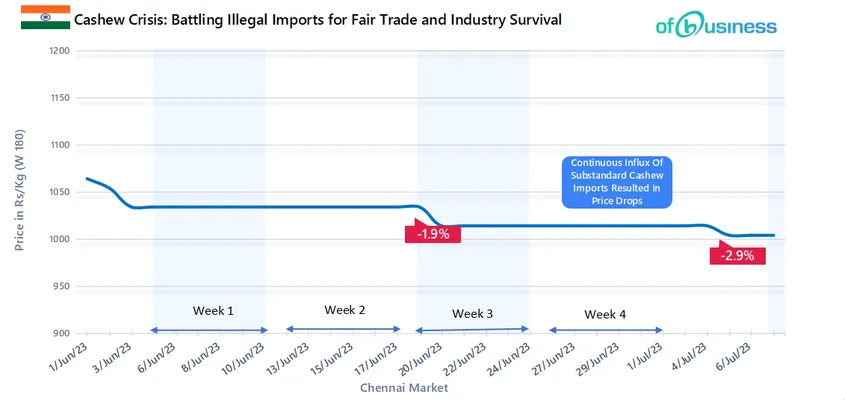 Cashew Crisis: Battling Illegal Imports For Fair Trade And Industry Survival