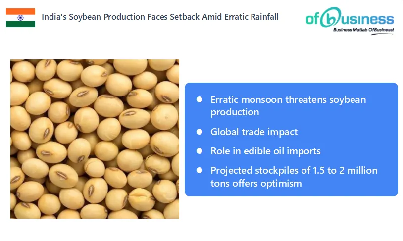 India's Soybean Production Faces Setback Amid Erratic Rainfall