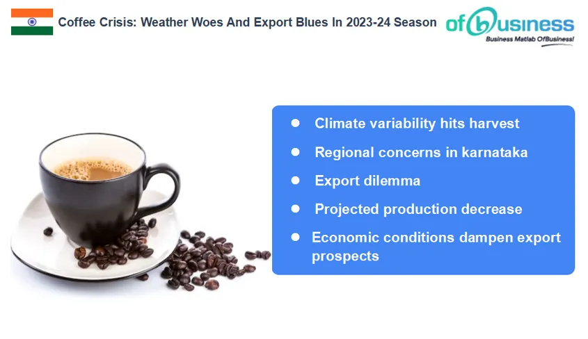 Coffee Crisis: Weather Woes And Export Blues In 2023-24 Season