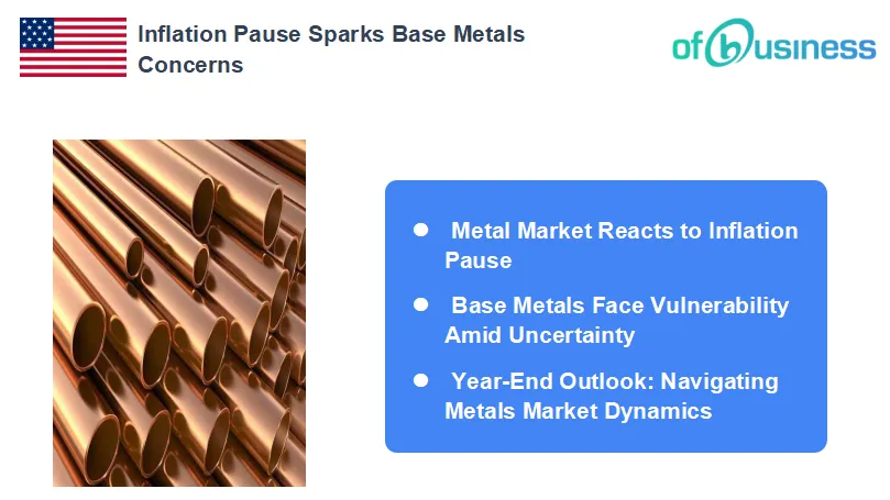 Insights on U.S. Inflation Impacting Metals Market