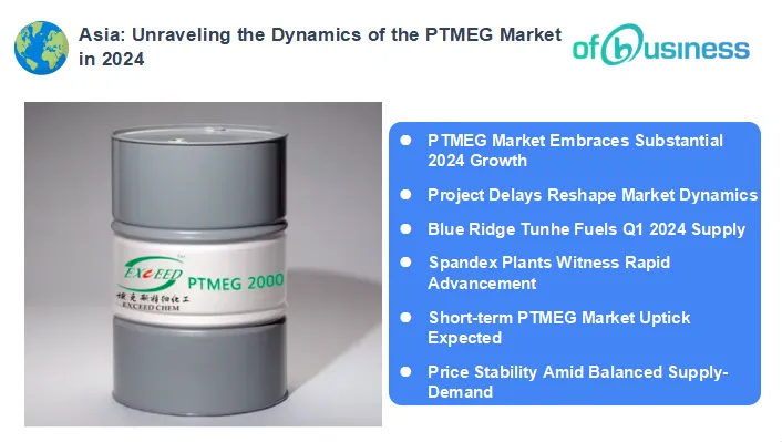 Understanding the Dynamics of the PTMEG Market in 2024