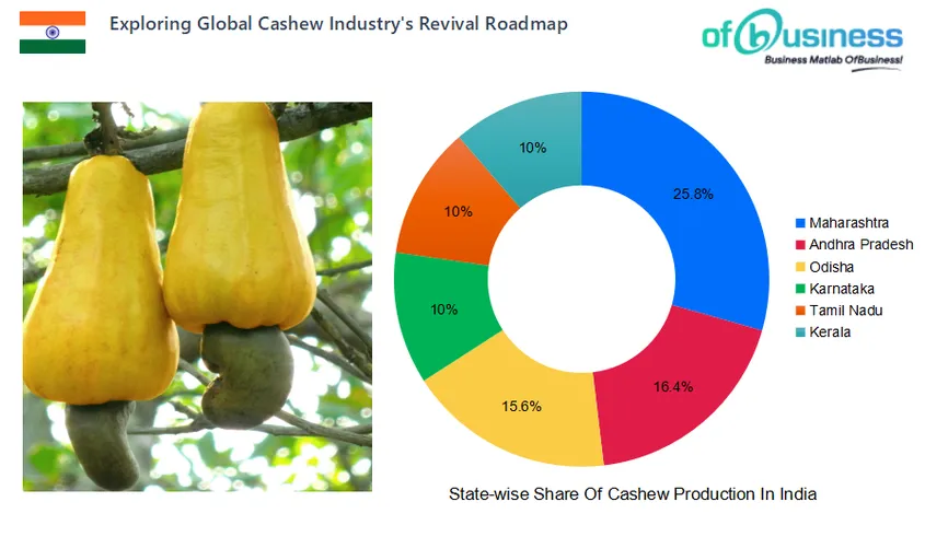 Cashew industry in shop india